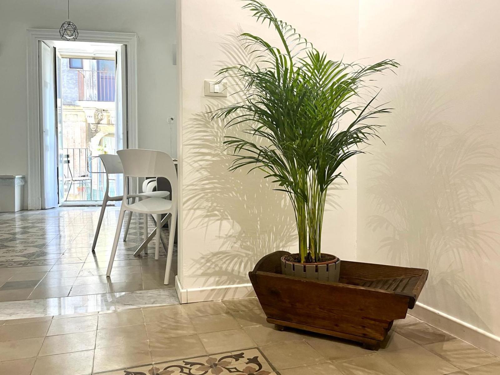 The Cement Tiles *